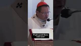 wides.pl -ClfgZnALj4 