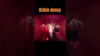 wides.pl -Dm8SH0PzmA 