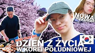 wides.pl -IQIKdUuhtE 
