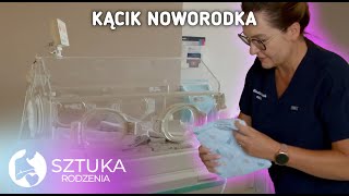 wides.pl -c5OiSpee9g 