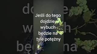 wides.pl -mnSszeakws 