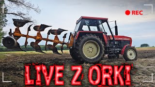 wides.pl -qTW0bCqxrQ 