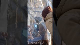 wides.pl 0qZ6Q_lWJaU 