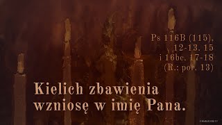 wides.pl 0rlwyitc-pA 