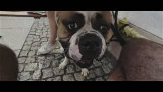 wides.pl 0x7ObNEyWgE 