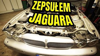 wides.pl 1KvGkyl4nh8 