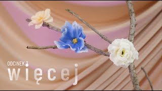 wides.pl 1f6tJ4k8HKI 