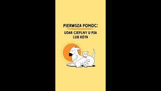 wides.pl 1uzMsrc0BEE 