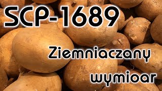 wides.pl 21ZcRysyLvg 