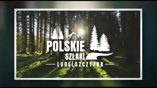 wides.pl 28NoPimyKRo 