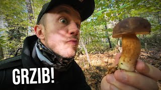 wides.pl 2RLeU0q0M60 