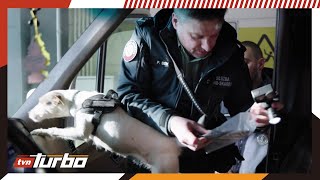 wides.pl 2Y-1mT8NRko 