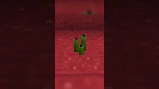 wides.pl 38mbFfvoMqA 