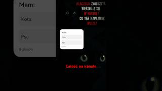 wides.pl 3ILRBq4K-BU 