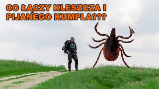 wides.pl 3OqazojNU94 