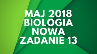 wides.pl 3SNfb27xtkk 