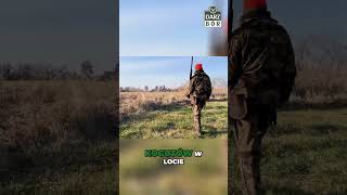 wides.pl 40KkFvqGq10 