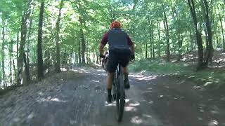 wides.pl 49oJwQ04ils 