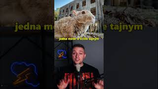 wides.pl 4FriJ10hVDw 