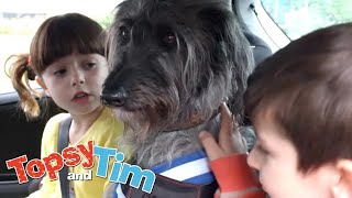 wides.pl 4JMsYHUVTYs 