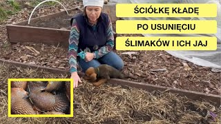 wides.pl 4SYGwo0ay14 