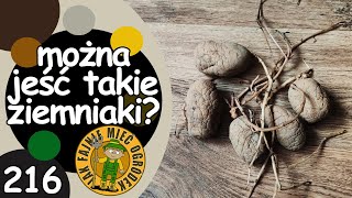 wides.pl 5cl3wR0QmHE 