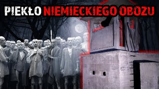 wides.pl 5qNJj77zlTM 