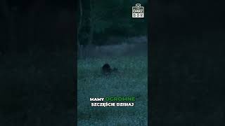 wides.pl 6-EIW9VplIY 