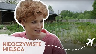 wides.pl 61r4gDtuIR4 