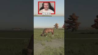 wides.pl 6TNOoFginHg 