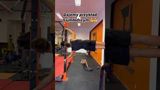 wides.pl 6qnOOdWp8Hk 