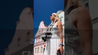 wides.pl 72L_WieV3Mg 