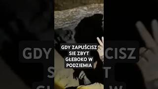 wides.pl 7NrPOwVIuIs 