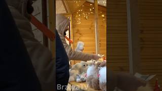 wides.pl 86jB1mo31CY 