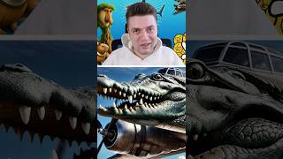 wides.pl 8K6SH8lr60o 