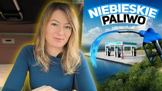wides.pl 8PN5uSMDrb8 