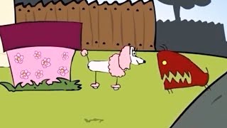 wides.pl 8Rjd_wsJbYk 