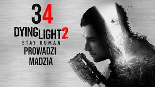 wides.pl 8eCTH0yHzHo 