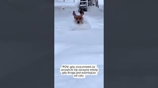 wides.pl 8il6TXhatXY 