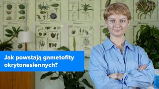 wides.pl 8w-gh8M0LYw 