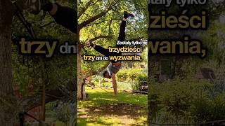 wides.pl 8wRj0DIUUTo 