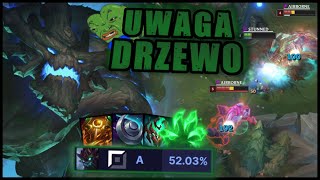 wides.pl 8yXVAxqTaBA 
