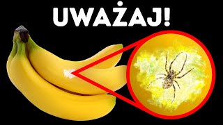 wides.pl 97BjxZtYevo 