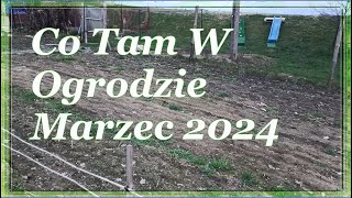 wides.pl 9Z9MmuD_gA4 