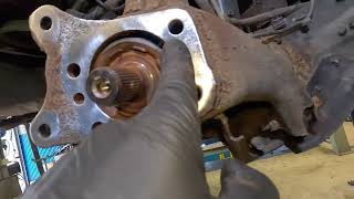 wides.pl 9erP9_6jFPs 