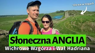 wides.pl 9uvpfktpxuc 