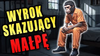 wides.pl A-BKjuxzIbA 