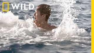 wides.pl AON7w53fbpo 