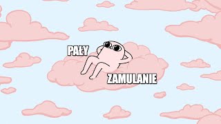wides.pl AyY0MWGirVA 