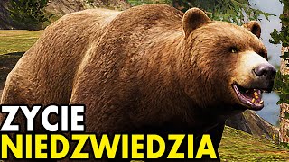 wides.pl B7_fyYw3f0A 